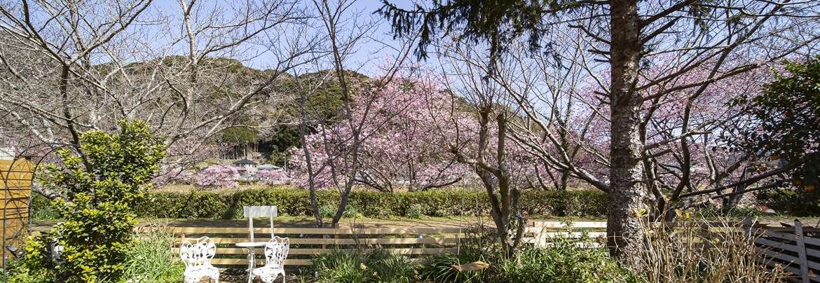 ペンションひだまり | 南伊豆町観光協会（Minami-izu Tourism